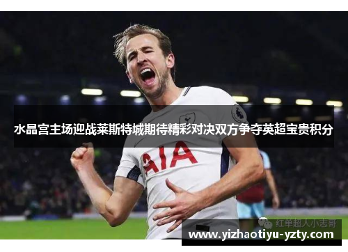 水晶宫主场迎战莱斯特城期待精彩对决双方争夺英超宝贵积分