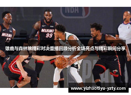 雄鹿与森林狼精彩对决重播回顾分析全场亮点与精彩瞬间分享