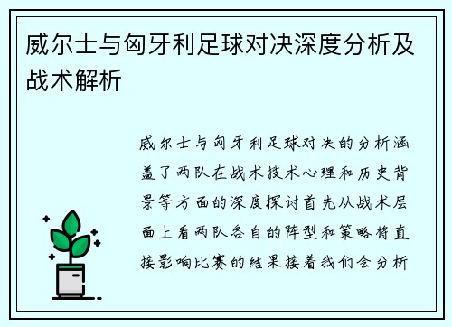 威尔士与匈牙利足球对决深度分析及战术解析